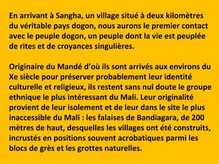 En arrivant à Sangha, un village situé à deux kilomètres
du véritable pays dogon, nous aurons le premier contact
avec le peuple dogon, un peuple dont la vie est peuplée
de rites et de croyances singulières.

Originaire du Mandé d’où ils sont arrivés aux environs du
Xe siècle pour préserver probablement leur identité
culturelle et religieux, ils restent sans nul doute le groupe
ethnique le plus intéressant du Mali. Leur originalité
provient de leur isolement et de leur dans le site le plus
inaccessible du Mali : les falaises de Bandiagara, de 200
mètres de haut, desquelles les villages ont été construits,
incrustés en positions souvent acrobatiques parmi les
blocs de grès et les grottes naturelles.
 