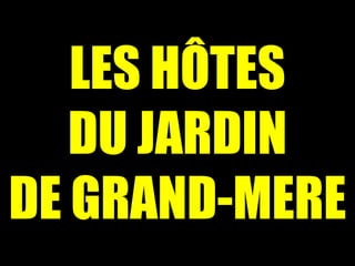 LES HÔTES DU JARDIN DE GRAND-MERE 