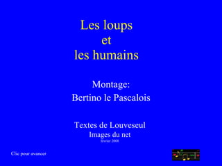 Les loups et les humains Montage: Bertino le Pascalois Textes de Louveseul Images du net février 2008 Clic pour avancer 
