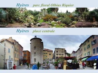Hyères parc floral Olbius Riquier




Hyères place centrale
 