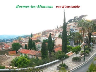 Bormes-les-Mimosas vue d’ensemble
 