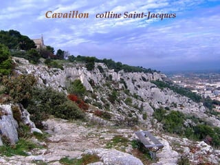 Cavaillon  colline   Saint-Jacques 