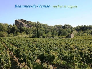 Beaumes-de-Venise  rocher et vignes   