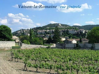 Vaison-la-Romaine  vue générale 