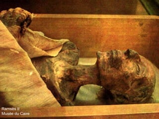 Ramsès II Musée du Caire Ramsès II Musée du Caire 