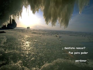 ¿ Sentiste rencor?  ..... Fue para poder  perdonar.  