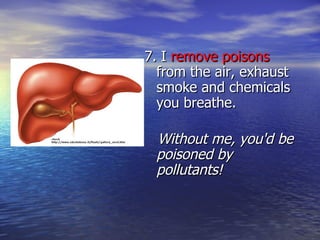 7. I  remove poisons  from the air, exhaust smoke and chemicals you breathe.  Without me, you'd be poisoned by pollutants! 