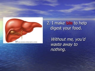 2. I make  bile  to help digest your food. Without me, you'd waste away to nothing. 