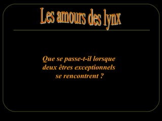 Les amours des lynx Que se passe-t-il lorsque  deux êtres exceptionnels  se rencontrent ? 