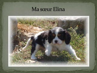 Ma sœur Elina