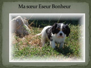 Ma sœur Eseur Bonheur