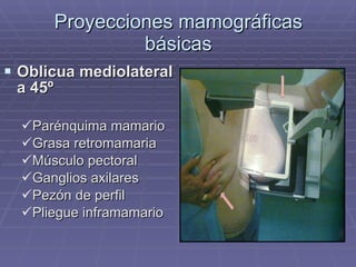 Proyecciones mamográficas básicas Oblicua mediolateral a 45º Parénquima mamario Grasa retromamaria Músculo pectoral Ganglios axilares Pezón de perfil Pliegue inframamario 