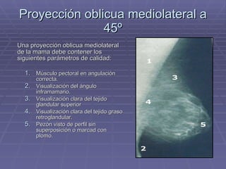 Proyección oblicua mediolateral a 45º Una proyección oblicua mediolateral de la mama debe contener los siguientes parámetros de calidad: Músculo pectoral en angulación correcta. Visualización del ángulo inframamario. Visualización clara del tejido glandular superior Visualización clara del tejido graso retroglandular. Pezón visto de perfil sin superposición o marcad con plomo. 