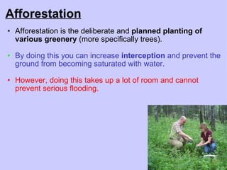 Afforestation Afforestation is the deliberate and  planned planting of various greenery  (more specifically trees).     By doing this you can increase  interception  and prevent the ground from becoming saturated with water. However, doing this takes up a lot of room and cannot prevent serious flooding.       