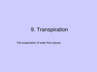 9. Transpiration The evaporation of water from leaves 