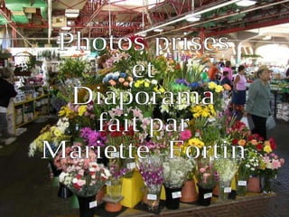 Photos prises  et Diaporama  fait par Mariette  Fortin 