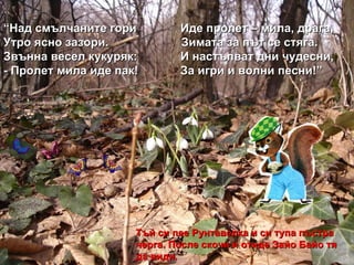 “ Над смълчаните гори Иде пролет – мила, драга, Утро ясно зазори.   Зимата за път се стяга. Звънна весел кукуряк: И настъпват дни чудесни, - Пролет мила иде пак! За игри и волни песни!” Тъй си пее Рунтавелка и си тупа пъстра черга. После скочи и отиде Зайо Байо тя да види. 