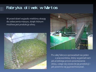 Fabryka oliwek w Martos ,[object Object],[object Object]