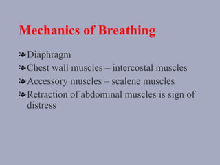Mechanics of Breathing <ul><li>Diaphragm </li></ul><ul><li>Chest wall muscles – intercostal muscles </li></ul><ul><li>Acce...