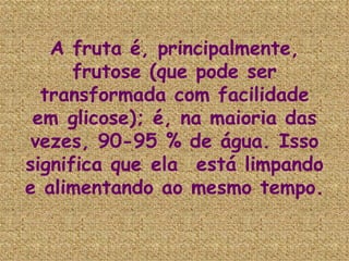 A fruta é, principalmente, frutose (que pode ser transformada com facilidade em glicose); é, na maioria das vezes, 90-95 % de água. Isso significa que ela  está limpando e alimentando ao mesmo tempo.   