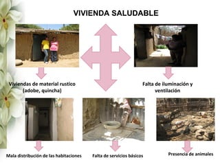 VIVIENDA SALUDABLE




 Viviendas de material rustico                                   Falta de iluminación y
       (adobe, quincha)                                                ventilación




Mala distribución de las habitaciones   Falta de servicios básicos          Presencia de animales
 