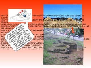 NESTE MOMENTO EXISTÍAN 27 CASTROS EN VIGO, O MÁIS IMPORTANTE  ERA O DO MONTE DO CASTRO. NON TODOS OS CASTROS SON DA MESMA ÉPOCA ,ALGÚNS COMENZAN INCLUSO NA IDADE DE BRONCE. NUN PRINCIPIO OCUPABAN OS LUGARES MÁIS ALTOS, E FORÓNSE DESPRAZANDO  AS LADEIRAS BUSCANDO PROXIMIDADE AS TERRAS DE CULTIVO.FACENDO PARA A SÚA PROTECCIÓN :MURALLAS, TERRAPLENS, FOSOS... POUCO A POUCO VAN PERDENDO A SÚA FORMA TAN REDONDA E APARECEN  DENTRO DELES ALGUNHA CASA CUADRANGULAR. O SAL ERA MOI VALIOSO PARA SAZONAR E  CONSERVAR OS ALIMENTOS. APARECE O ARADO DE METAL,FORTE  E RESISTENTE E PENETRA MÁIS NA TERRA. ERAN EXCELENTES CERAMISTAS E METALÚRXICOS. OS SEUS ÚTILES APENAS DIFERÉNCIANSE DOS ACTUAIS. A MULLER TRABALLABA NO CAMPO EN TAREAS AGRÍCOLAS; OS HOMES ENCARGÁBANSE  DE DEFENDER A SÚA TRIBU CONTRA O INIMIGO. POUCO A POUCO VAN APARECENDO AS CLASES SOCIAIS ONDE HABERÍA XEFES E GUERREIROS. AS CASA ERAN REDONDAS E CONSTRUÍDAS EN PEDRA E BARRO.O TELLADO ERA DE PALLA TUPIDA CON BIMBIAS E SOSTIDO POR UN POSTE CENTRAL.NON HABÍA CHIMENEA E O FUME SAÍA A TRAVÉS DO TEITO. ESTABAN MOI XUNTAS E FORMABAN UN POBOADO 