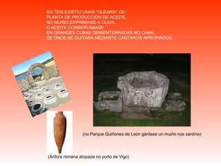 EN TEIS EXISTÍU UNHA “OLEARIA” OU PLANTA DE PRODUCCIÓN DE ACEITE, NO MUIÑO EXPRIMÍASE A OLIVA. O ACEITE CONSERVÁBASE EN GRANDES CUBAS SEMIENTERRADAS NO CHAN, DE ONDE SE QUITABA MEDIANTE CÁNTAROS APROPIADOS. (no Parque Quiñones de León gárdase un muiño nos xardíns) (Ánfora romana atopada no porto de Vigo) 