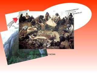 CHAN DO   LABRADOR  (MADROA) As mámoas Son pequenas cámaras funerarias formadas por varias pedras verticais chantadas na terra e tapadas cunha laxe.cubríanse de terra formando un túmulo ASÍ ERA COMO O FACÍAN 