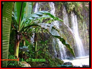 La Tzararacua Photo  ©  2008  by:sistawar E 