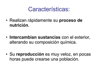 Características: Realizan rápidamente su  proceso de nutrición .  Intercambian sustancias  con el exterior, alterando su composición química.  Su  reproducción  es muy veloz, en pocas horas puede crearse una población. 
