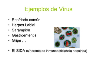 Ejemplos de Virus Resfriado común Herpes Labial Sarampión Gastroenteritis Gripe …  El SIDA  (síndrome de inmunodeficiencia adquirida) 