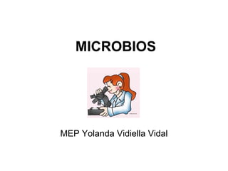 MICROBIOS MEP Yolanda Vidiella Vidal 