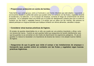 • Proporcionar protección en contra de heridas.

Toda herida que contenga pus, como un furúnculo o una herida infectada que esté abierta o supurando, y
se encuentre situada en partes del cuerpo que puedan entrar en contacto con las frutas y vegetales durante
la recolección y la selección, o con el equipo de empaque, aumenta el riesgo de contaminación de dichos
productos. Si un trabajador tiene una herida que no pueda ser debidamente cubierta para que no entre en
contacto con las frutas y vegetales frescos o el equipo que se utiliza con las mismas, esa persona no
deberá participar en ninguna actividad que implique contacto con dichos alimentos, utensilios o equipo.


• Considerar otras buenas prácticas de higiene.
El empleo de guantes desechables de un sólo uso puede ser una práctica importante y eficaz, junto
con lavarse las manos. Cuando se usen guantes habrá que asegurarse de hacerlo debidamente, para
que los guantes no se conviertan en otro medio de diseminación de organismos patógenos. El uso de
guantes no reduce la necesidad o la importancia de lavarse las manos ni de adoptar buenos hábitos
de higiene.



• Asegurarse de que la gente que visite el campo o las instalaciones de empaque o
transporte (que puedan entrar en contacto con las frutas y vegetales) sigan buenas
prácticas higiénicas.
 