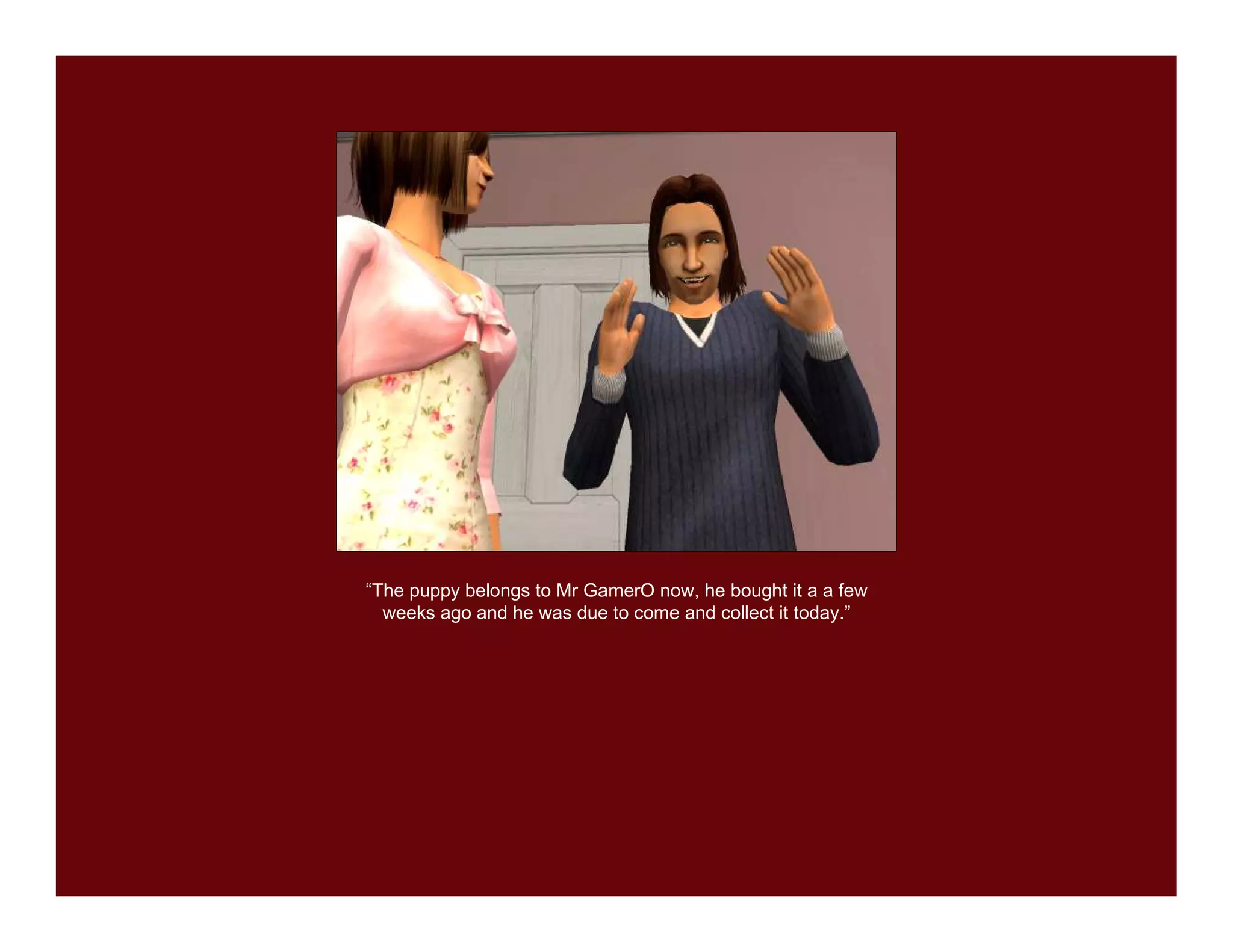 “The puppy belongs to Mr GamerO now, he bought it a a few
  weeks ago and he was due to come and collect it today.”
 