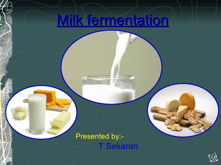 C:\fakepath\milk fermentation.sekaran - Cfakepathmilk Fermentationsekaran 1 728