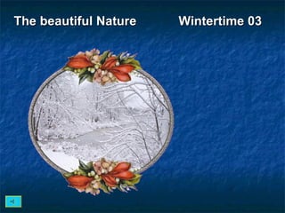 The beautiful Nature  Wintertime 03 