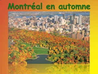 Montréal en automne  