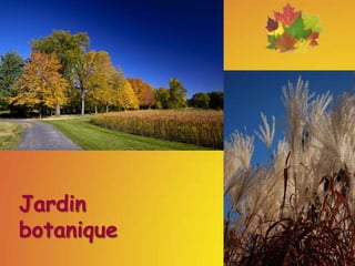 Jardin botanique