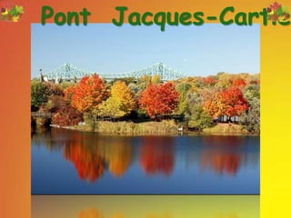 Pont  Jacques-Cartier
