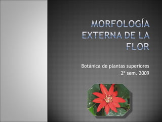 Botánica de plantas superiores 2º sem. 2009 