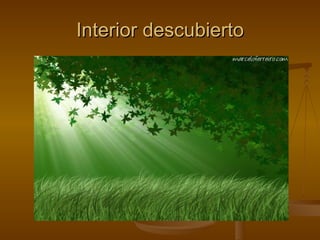 Interior descubierto 