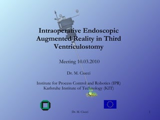 Intraoperative Endoscopic Augmented Reality in Third Ventriculostomy  Meeting 10.03.2010 Dr. M. Ciucci Institute for Process Control and Robotics (IPR) Karlsruhe Institute of Technology (KIT) 