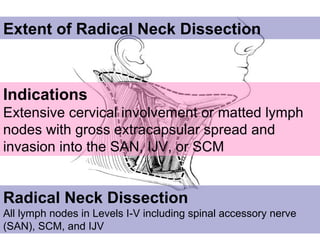 Extent of Radical Neck Dissection  Indications Extensive cervical involvement or matted lymph nodes with gross extracapsul...