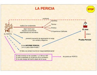 LA PERICIALA PERICIA STOPSTOP
EL PERITO
Científica
Técnica
Artística
O Experiencia Calificada
explica con fundamento
algún hecho que
requiera conocimiento
especializado de naturaleza
Emite INFORME PERICIALINFORME PERICIAL
( en un plazo determinado )
El JuezEl Juez
ordena
Prueba PericialPrueba Pericial
nombrará
prestará juramento de desempeñar el cargo
con verdad y diligencia
Si falta a la verdad incurrirá en responsabilidad penal
Si está inmerso en las causales 1 y 2 del art.165º
Si está inhabilitado en el ejercicio de su profesión
Si ha sido testigo del hecho objeto de la causa
No podrá ser PERITO
 