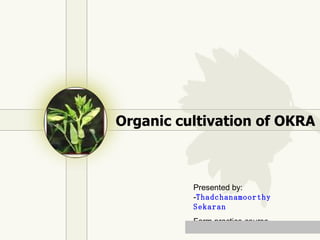 Organic cultivation of OKRA Presented by: - Thadchanamoorthy Sekaran Farm practice course 
