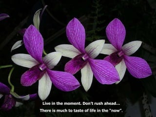 Live in the moment. Don’t rush ahead…  There is much to taste of life in the “now” . 