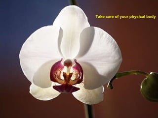Take care of your physical body 