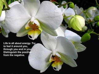 Life is all about energy. Try to feel it around you, through you and in you. Distinguish the positive from the negative. 