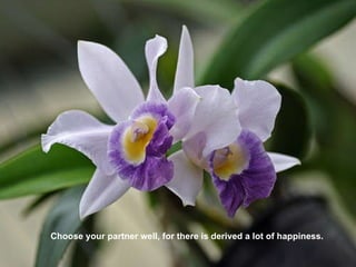 Choose your partner well, for there is derived a lot of happiness. 