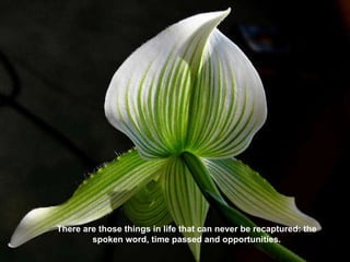 There are those things in life that can never be recaptured: the spoken word, time passed and opportunities. 